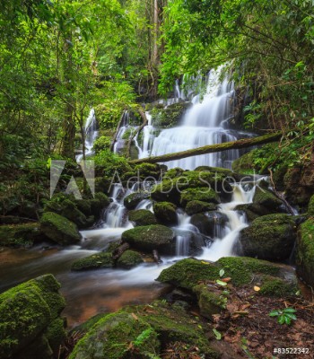 Picture of tropical waterfall in Deep forest